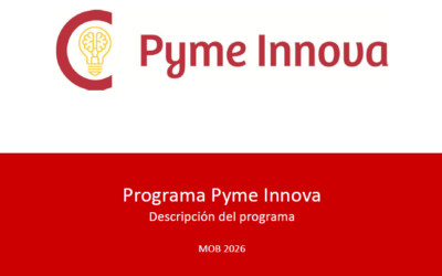 Axudas para a prestación de servizos de apoio á innovación ás Pemes no marco do Programa Peme Innova 2026